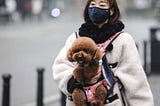 China’s Pet Economy: Millennials Choosing Pets Over Babies