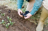 Does planting trees bear a cost?