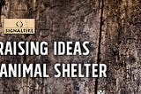 5 Fundraising Ideas for Your Animal Shelter or Humane Society