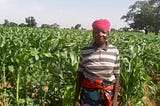 Binta Yahaya Benefits from Improved Maize Seed Varieties and other Farm Inputs
