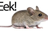 Eeeeeek I just saw a mouse! Wait… why on Earth do I fear mice so much?