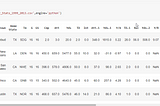 Basic EDA steps and mofor Performance Data with NFL