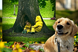 The Elven Duckling Phoebe Ann Retirement Program