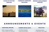 Weekly Wizard: Development & Project Updates