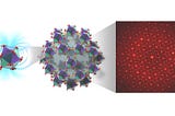 First Bulk Ferromagnetic Icosahedral Quasicrystals Synthesized without Rapid Quenching