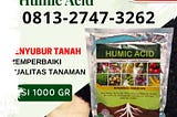 GA MAIN MAIN CALL 0813–2747–3262, DISTRIBUTOR Humic Acid Teluk Pandan,