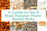 A Guide to the 6 Most Popular Plant-Based Milks