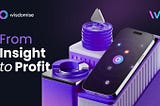 From Insight to Profit: Success Stories from the Wisdomise Community
