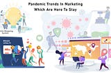 Pandemic Trends in Marketing Which Are Here To Stay