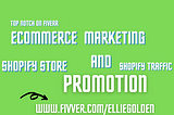 SHOPIFY PROMOTION AND MARKETING