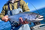 Salty Chinook: late-winter and spring salmon fishing on the western Strait and Puget Sound