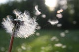 A Wish To The Time Before The Light