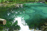 The Blue Springs of Saula, freshwater springs located in Harju County, northern Estonia.