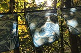 Cyanotype x Cutout Art in Woodland Valley, Catskills