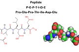 Peptide Synthesis — Navigating the Pathways of Molecular Construction