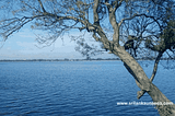 Visit Inland Ocean Sri Lanka