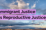 Undocumented and under-resourced: we must address the lack of accessible reproductive healthcare at…
