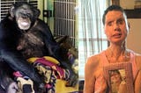 She Raised Her Pet Chimp Like He Was Her Child