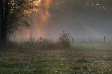 A Misty Foggy Morning