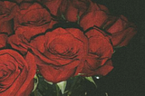 Image of red roses.