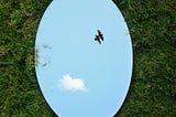 Looking Through the Looking Glass