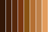 The Complexity of Colorism