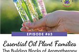 Essential Oil Plant Families: A Guide to Aromatherapy’s Building Blocks