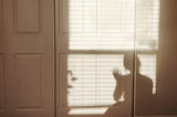 a shadow appears on a wall of the author waving at the camera in the sunlight