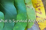 What is Survival Analysis? (or time-to-event)