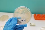 How I Engineered E.coli To Survive on Strep Media Using CRISPR/Cas9