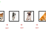 Decoding Data Structures with Dogs: Singly Linked Lists