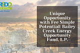 Unique Opportunity with Fee Simple Potential: Bailey Creek Energy Opportunity Fund, L.P.