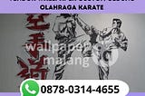Vendor wallpaper custom gedung olahraga karate