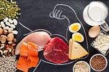 High Protein Foods: The Ideal Sources of Protein to Incorporate Into A Balanced Diet