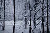 Winter: The Season of Dark Wonder
