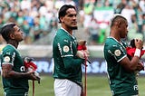 Palmeiras e os “Bichos do Gueto”