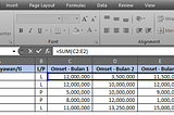 Exploration Formulas in Ms. Excel (SUM, AVERAGE, IF, COUNT, MAX, MIN, SUMIF, COUNTIF, and RANK)