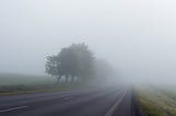 The Path Beneath the Fog — 3 Tips for Being Confident in Your Journey