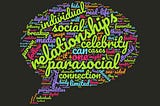 DGST Final Project: The Parasocial Relationship on Social Media
