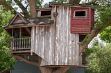 A treehouse, but not the treehouse of my childhood