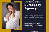 How Does Surrogacy Work in The USA?