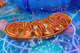 Exploring the Antibody Conjugate Oligonucleotide Market: Innovations, Applications, and Future…