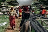 Approaches to Make Circular Economy a Success in Emerging Economies