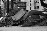 Homelessness in the United States-A Problem We Can Solve