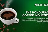 Dimitra and the Honduran Coffee Industry
