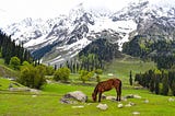 Kashmir Tour Packages