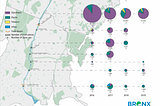 Week 5: New York City’s Environmental History: Bronx River Life