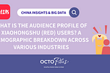 What is the Audience Profile of Xiaohongshu (RED) Users?