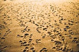 A sandy beach with hundreds of footprints going in all directions