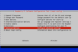 How to handle audio output in the RaspberryPi